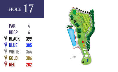 in-hole17